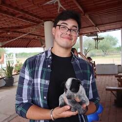Hector